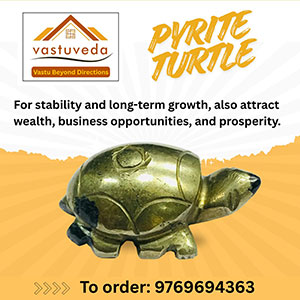pyrite-turtle